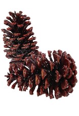 K&K Interiors Pine Cones Decorations 12Pk Brownish-Red W Ice Frost Accents