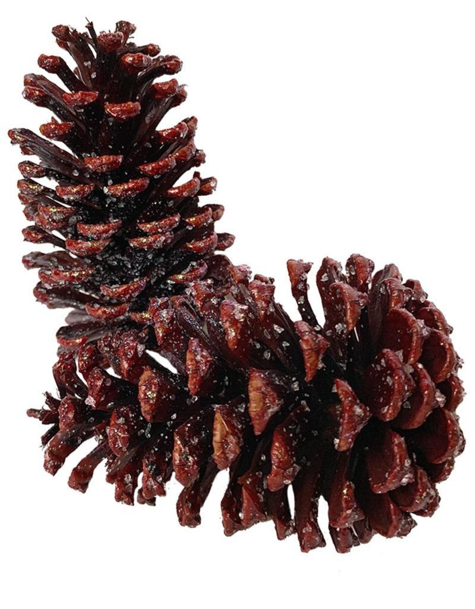 K&K Interiors Pine Cones Decorations 12Pk Brownish-Red W Ice Frost Accents
