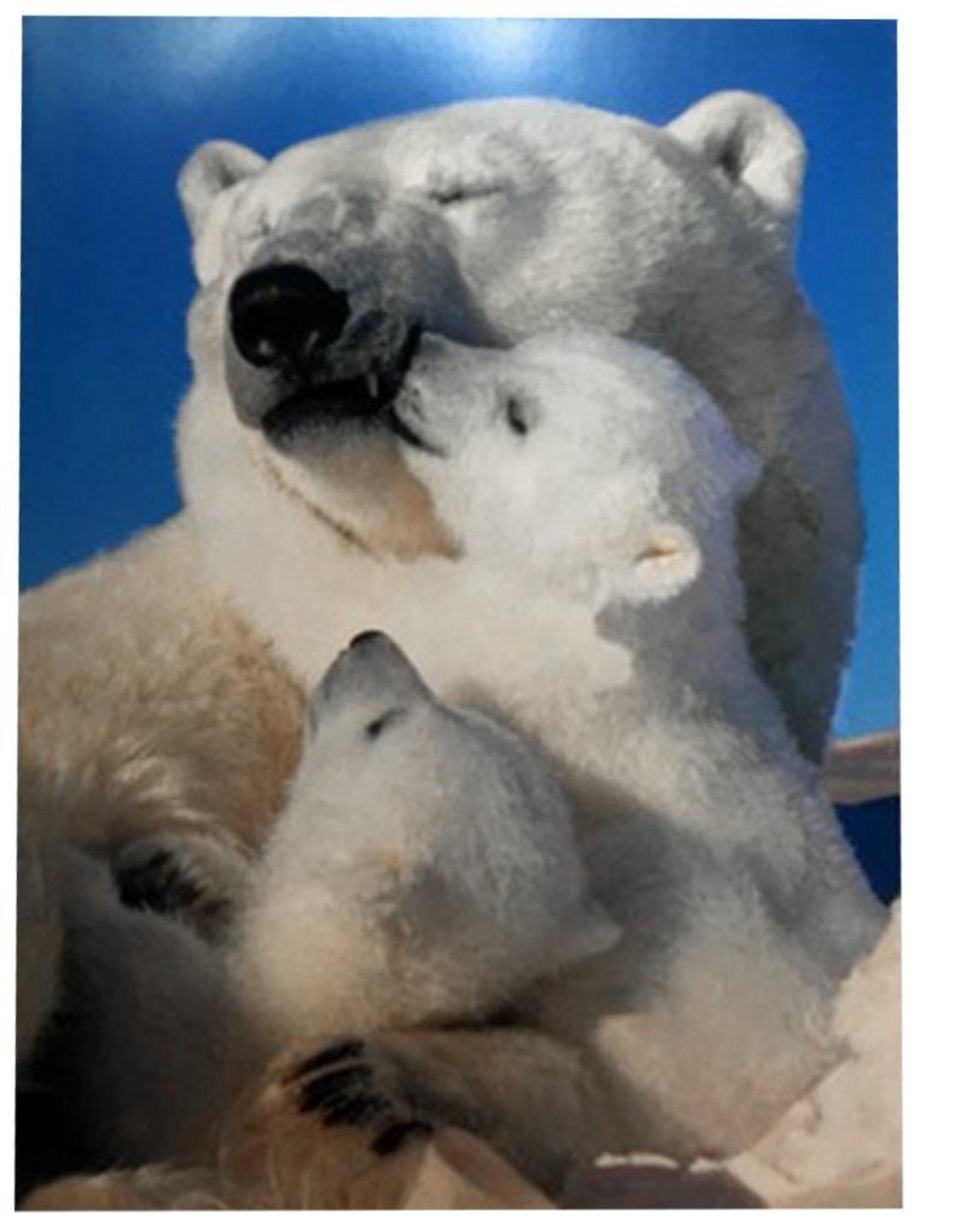 Mothers Day Card Polar Bears