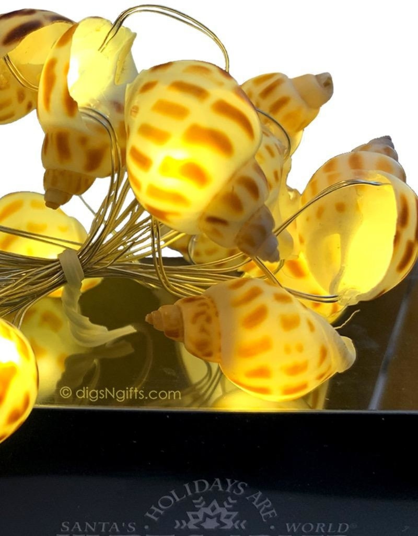 Kurt Adler Shell Fairy Lights 20 Light Set Battery-Operated Babylon Shells