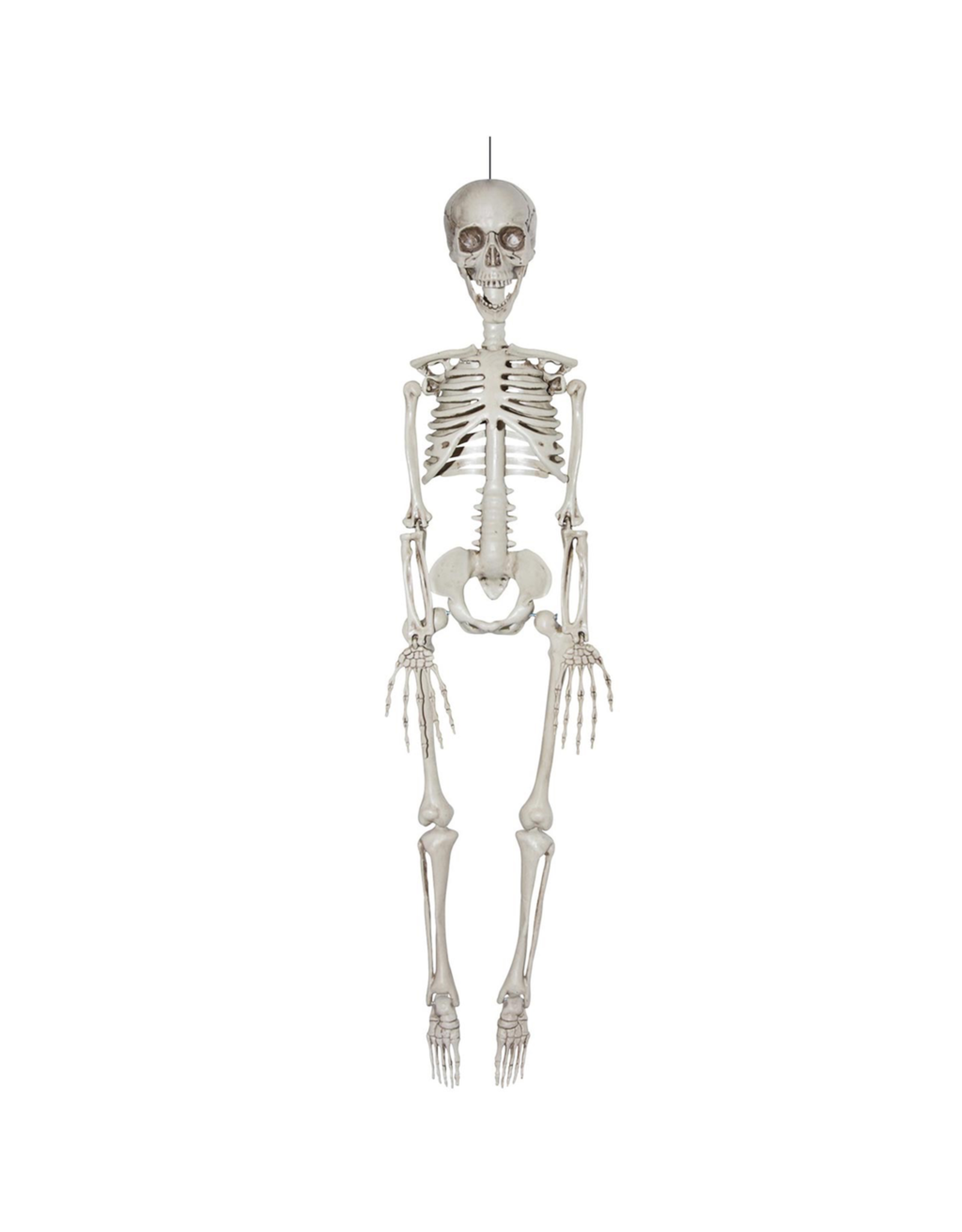 Darice Halloween Hanging Skeleton Bones Decoration 7x35 Inch