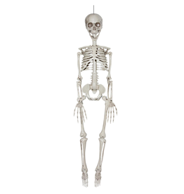 Darice Halloween Hanging Skeleton Bones Decoration 7x35 Inch