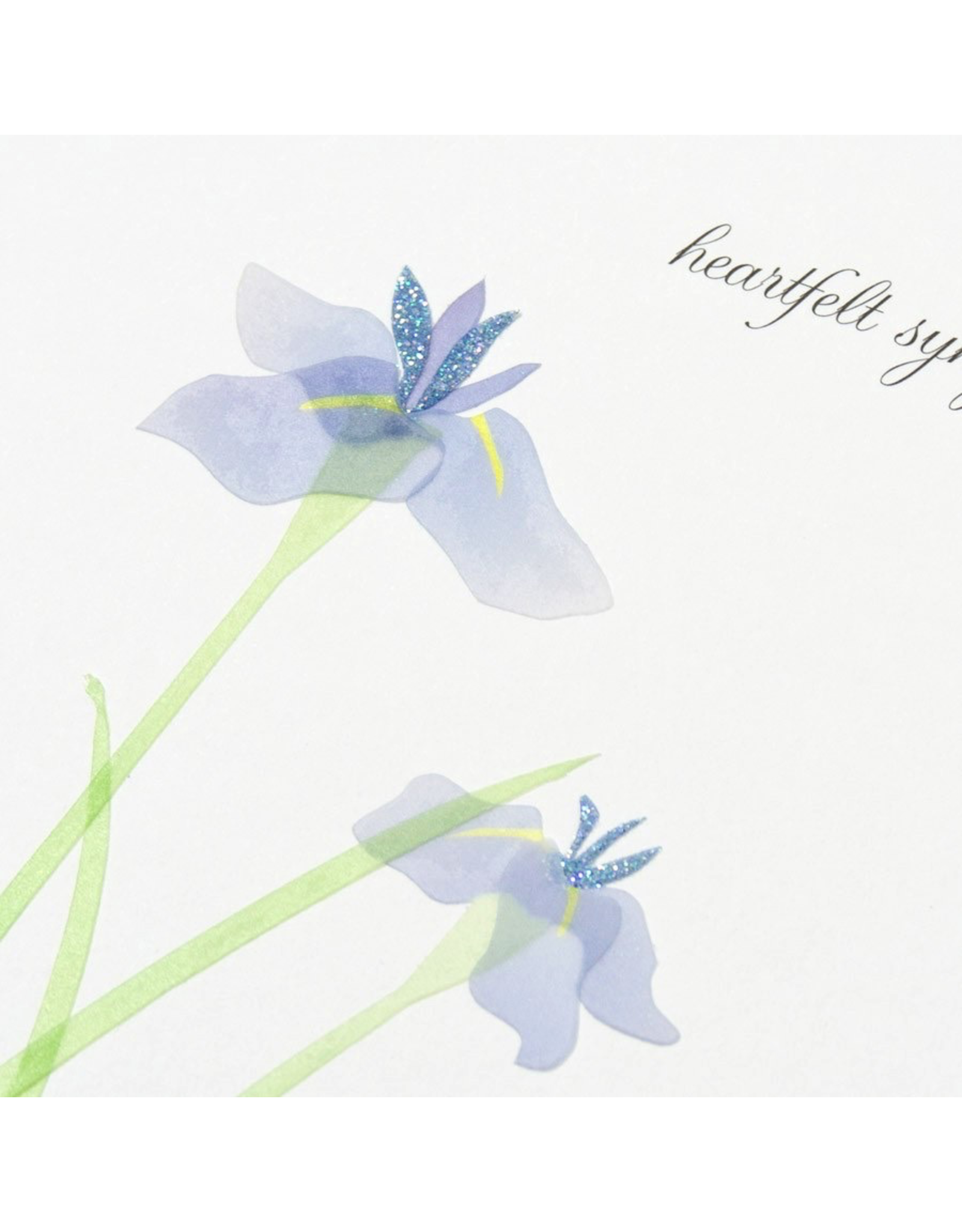 PAPYRUS® Sympathy Card Purple Irises