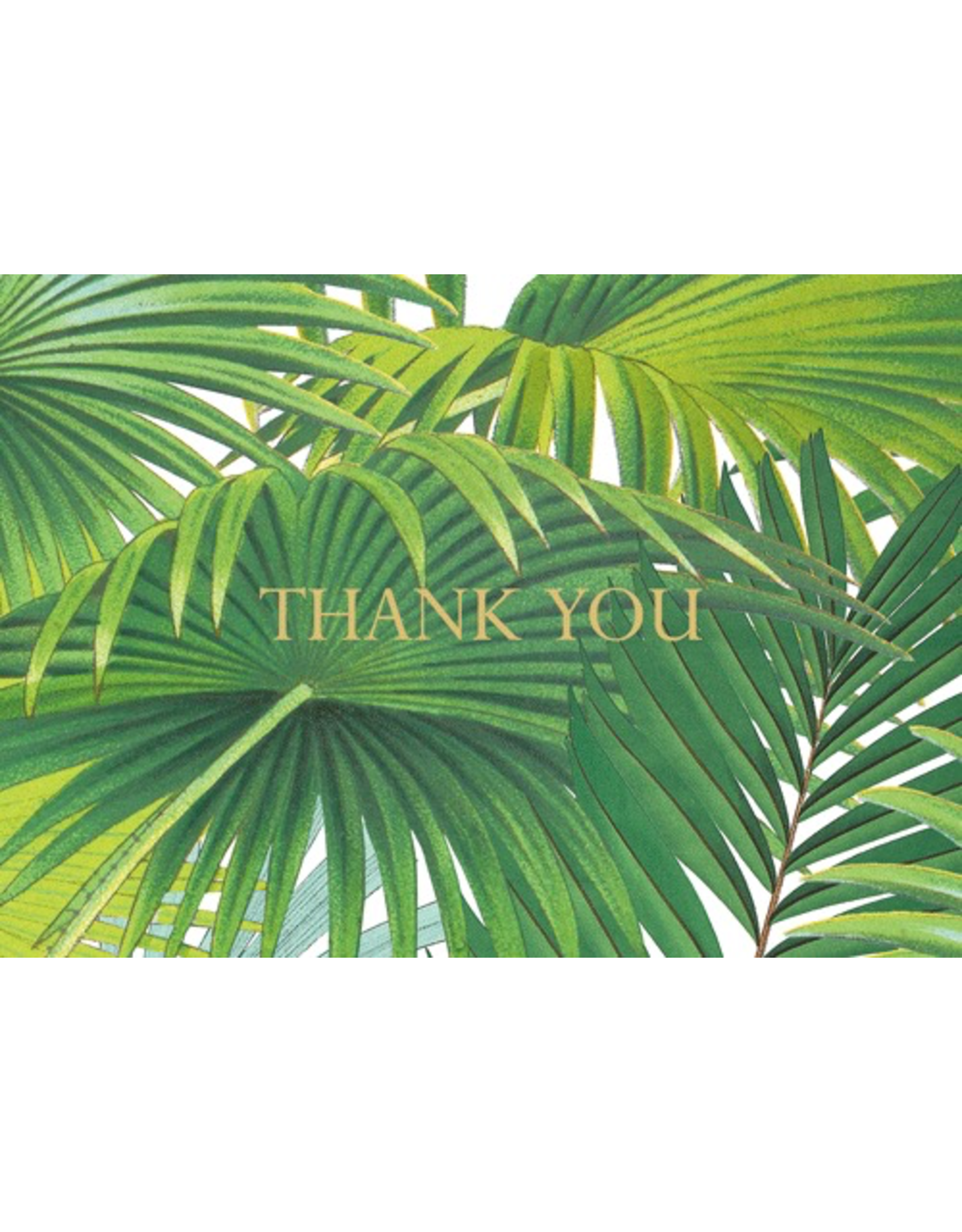 Caspari Thank You Note Cards Boxed Set of 8 Palm Fronds Foil
