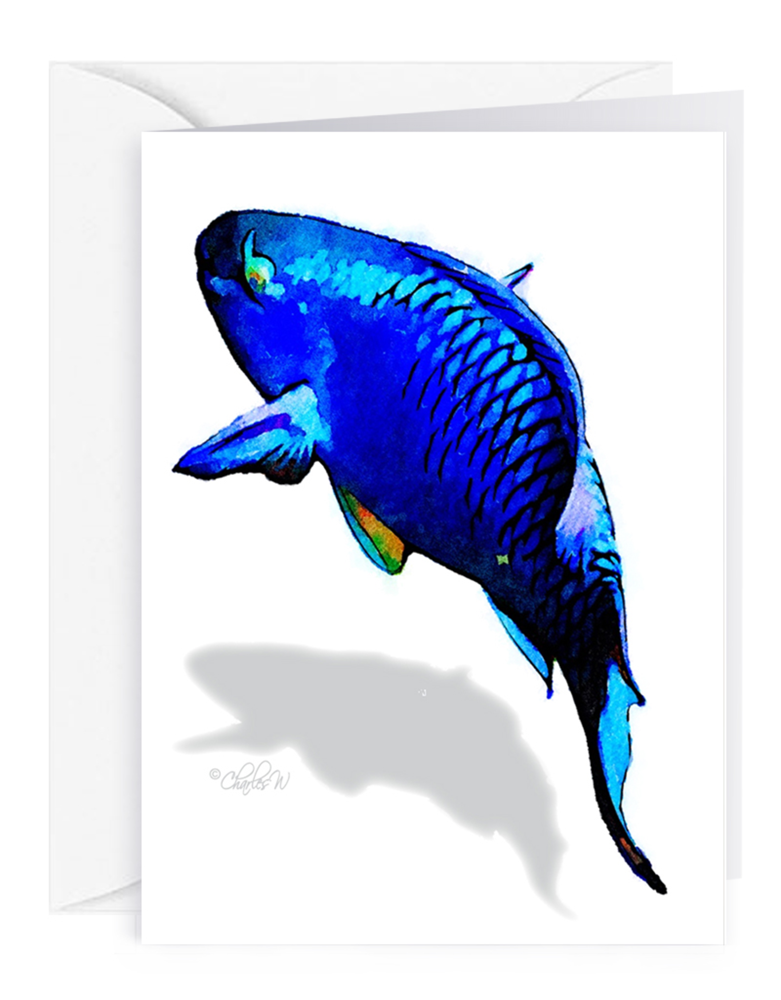 By The Seas-N Greetings Blank Note Card - Cash - Gift Card Holder - Blue Parrot Fish II