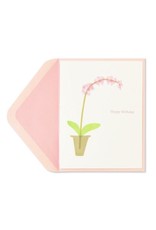 PAPYRUS® Birthday Card Pink Orchid