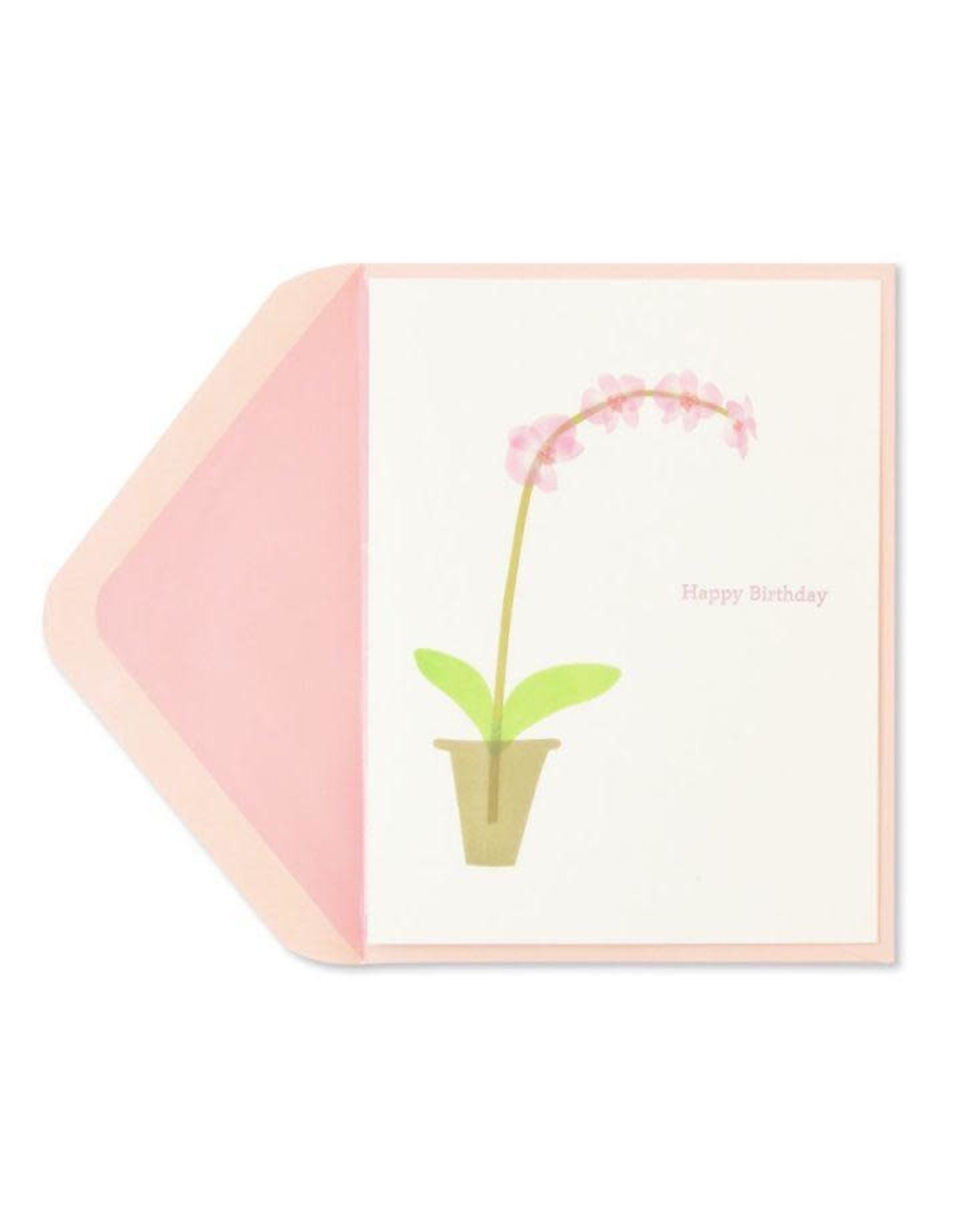 PAPYRUS® Birthday Card Pink Orchid
