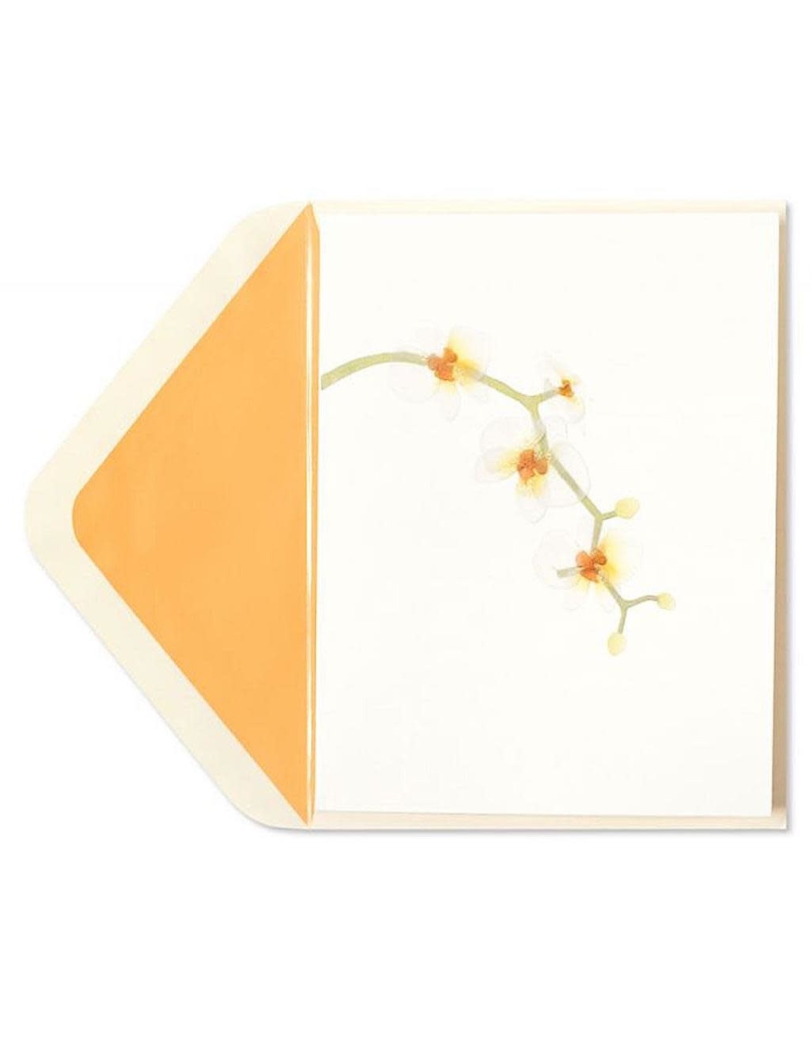 PAPYRUS® Blank Card White Orchids