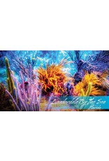 By The Seas-N Greetings Lauderdale By The Sea Florida  Reef Magnet Souvenir 3.5x2
