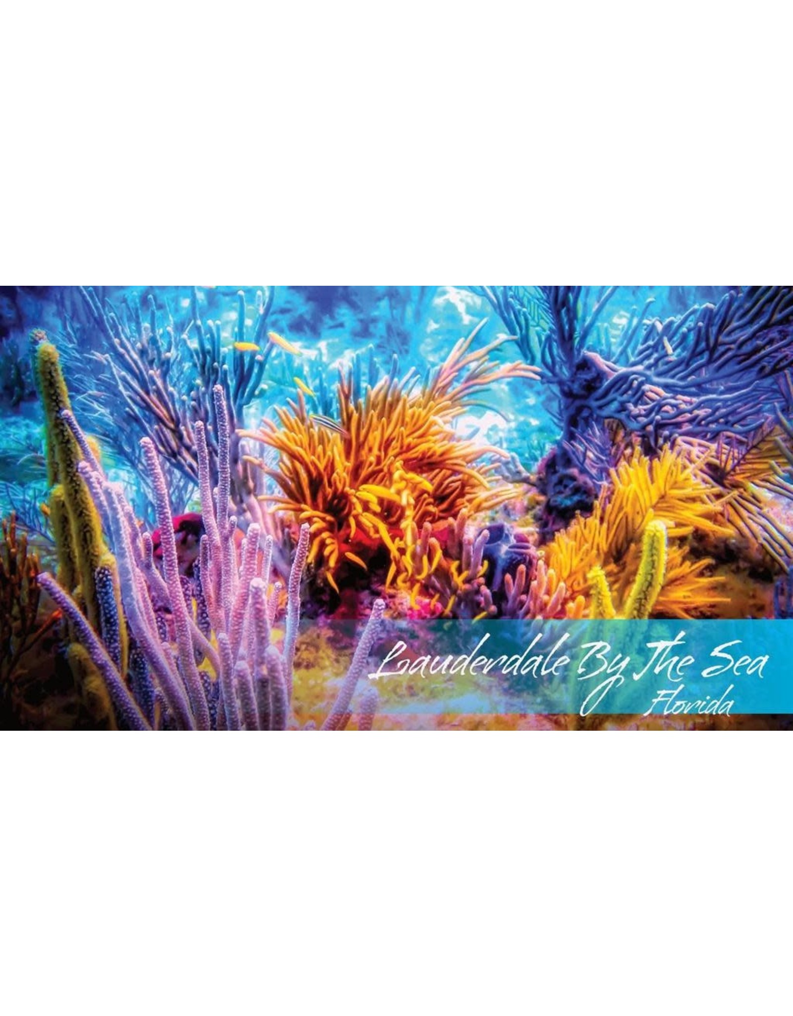 By The Seas-N Greetings Lauderdale By The Sea Florida  Reef Magnet Souvenir 3.5x2