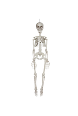 Darice Halloween Hanging Skeleton Bones Decoration 7x35 Inch