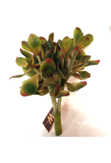Winward Green Succulent 10 inch