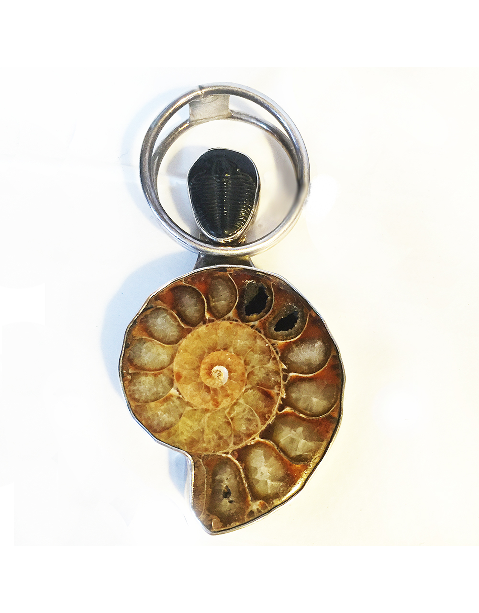 Charles Albert Fine Sterling Silver Jewelry w Ammonite w Trilobite