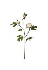 Winward Silk Flowers Artificial 95057.CR Peony Bud X3-Cream