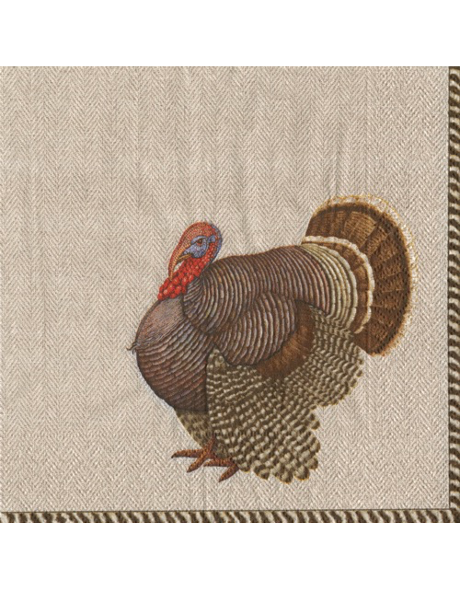 Caspari Fall Thanksgiving Paper Cocktail Napkins 20pk Thomas Turkey