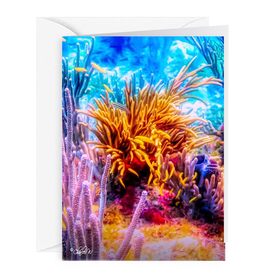 By The Seas-N Greetings Blank Note Card - Cash - Gift Card Holder - Reef I