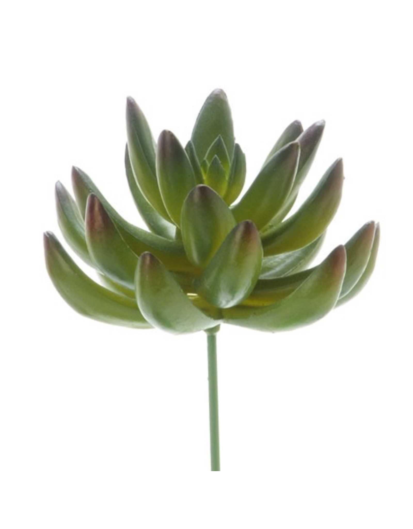 Darice Faux Succulent Pick Green Open Lotus Rosette 3.75 inch