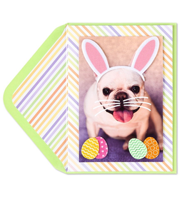 PAPYRUS® Easter Card Easter Dog Dressed Like Bunny Card
