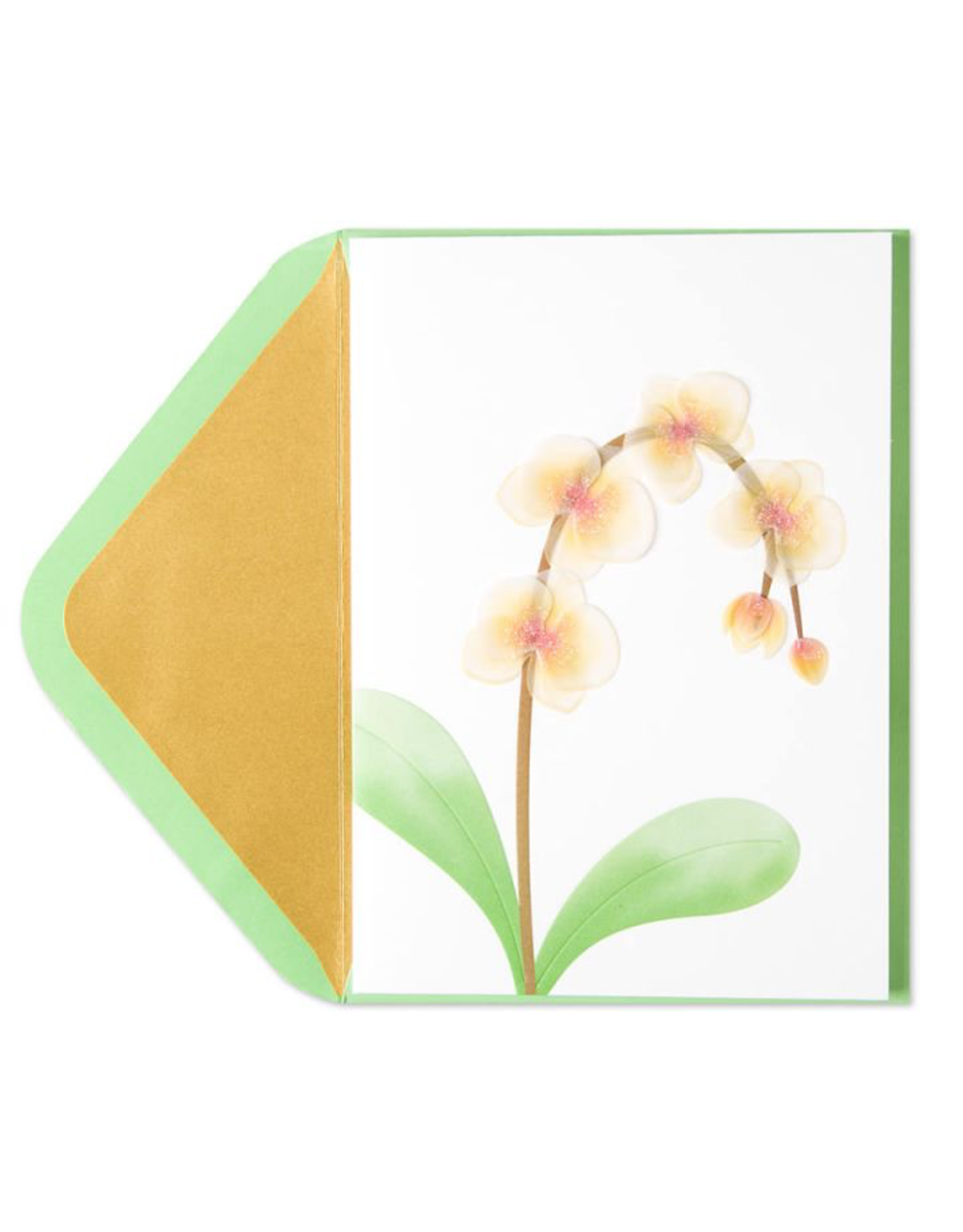PAPYRUS® Sympathy Cards Orchids Vellum Sculpture
