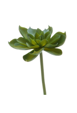 Darice Faux Succulent Green Echeveria Rosette 4.5 inch