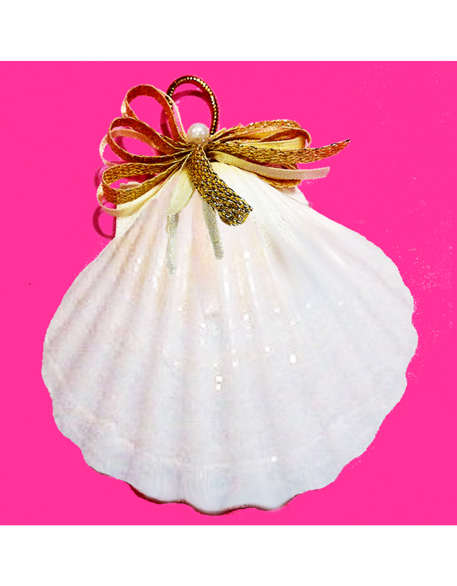 Treasures From The Sea Scallop Sea Shell Ornament