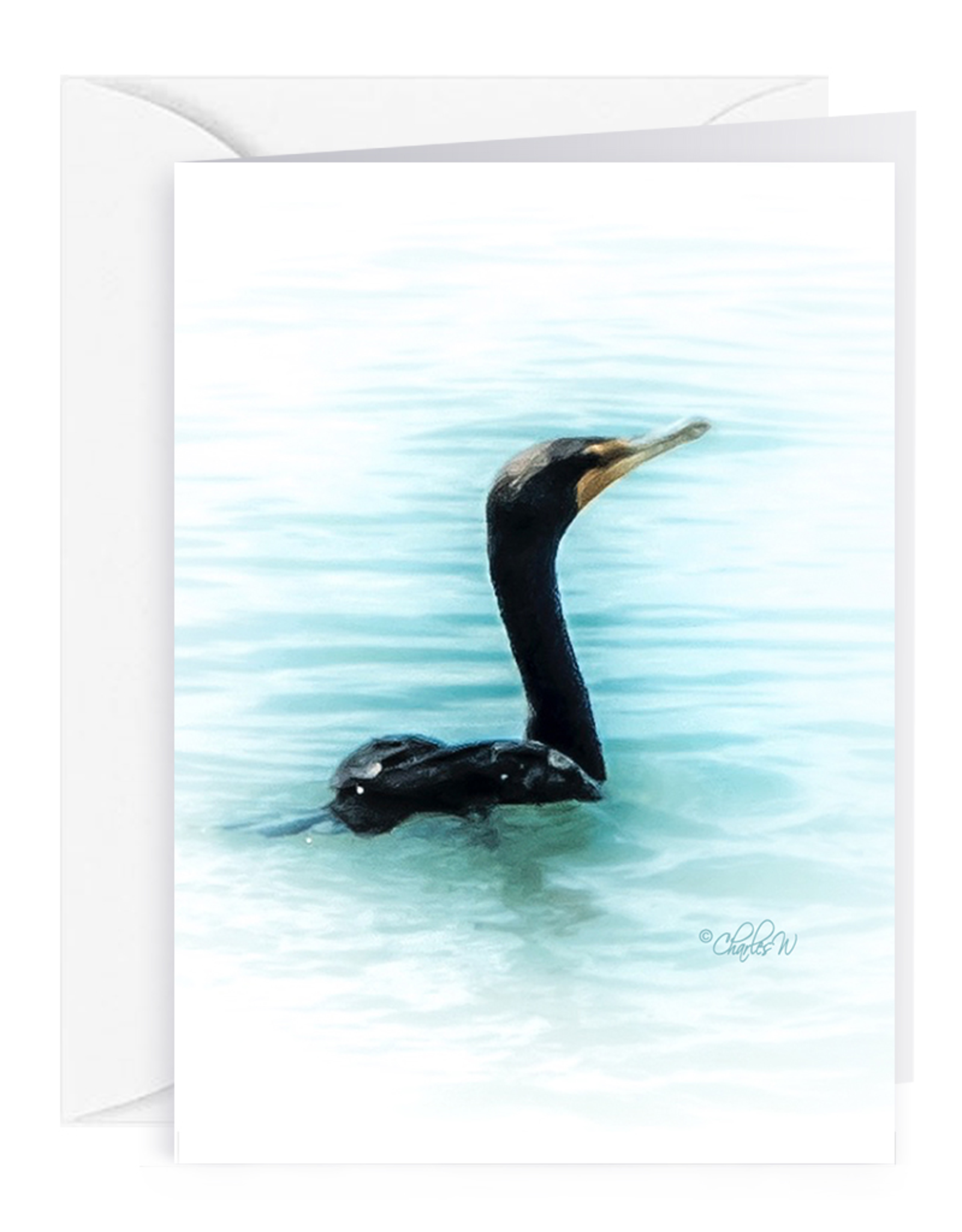 By The Seas-N Greetings Blank Note Card - Cash - Gift Card Holder - Cormorant