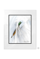 Maureen Terrien Photography Art Print Pier Egret Preening D 8x10 - 11x14 Matted