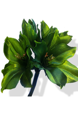 Premier Flowers Floral Silks Triple Amaryllis Green 29 Inch