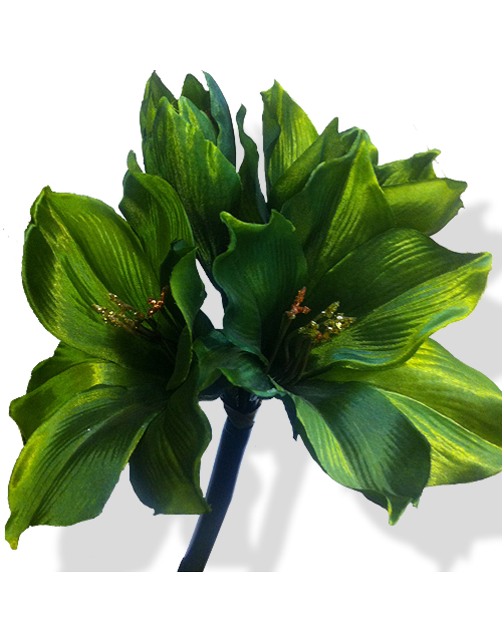 Premier Flowers Floral Silks Triple Amaryllis Green 29 Inch
