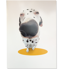 Fathers Day Card About Face - Easy To Spot Dalmatian Dog