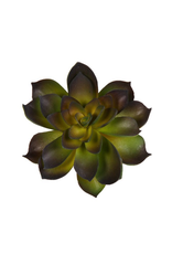 Darice Faux Succulent Green and Dark Purple Echeveria Rosette 4.5 inch