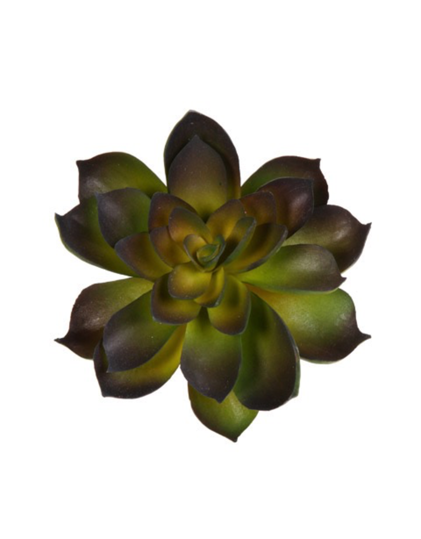 Darice Faux Succulent Green and Dark Purple Echeveria Rosette 4.5 inch