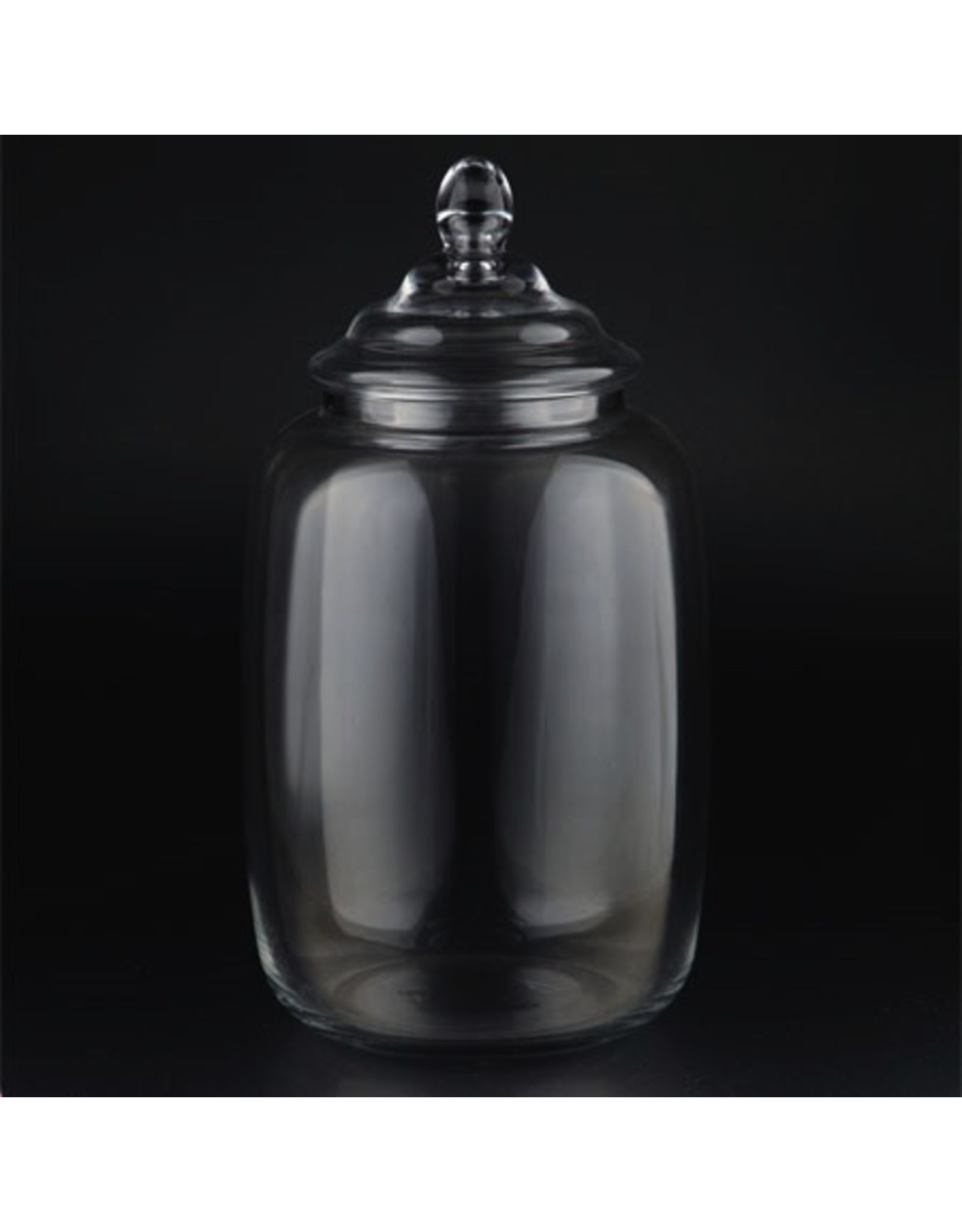 DIGS-N-GIFTS Apothecary Glass Jar W Lid 10Dx17.5H Inch Clear