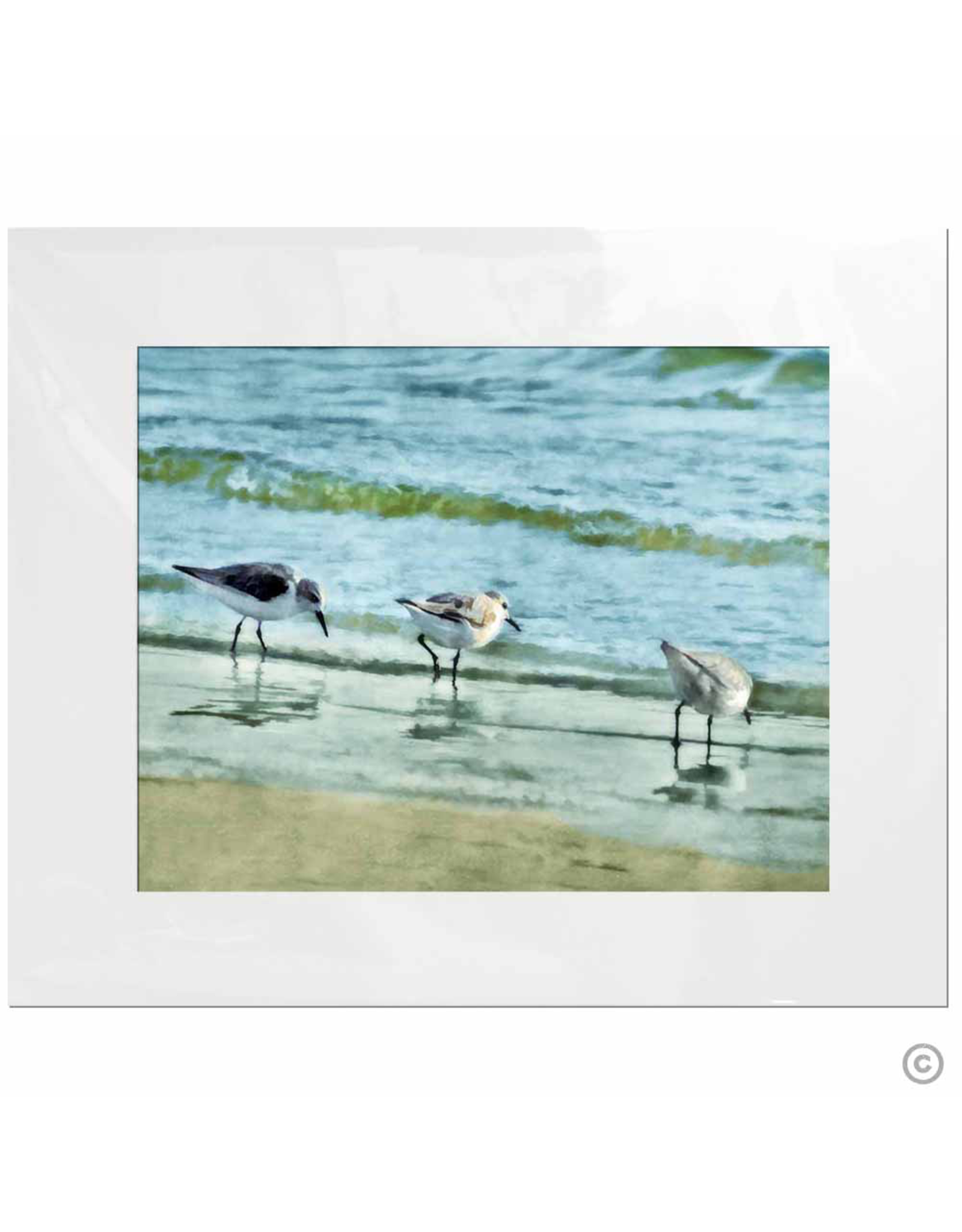 Maureen Terrien Photography Art Print 3 Sandpipers I 11x14 - 8x10 Matted