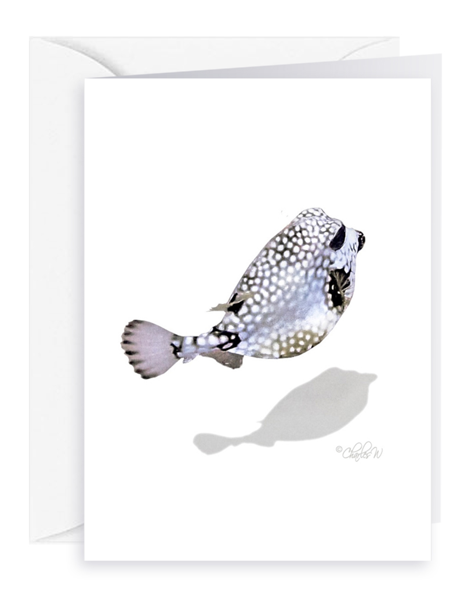 By The Seas-N Greetings Blank Note Card - Cash - Gift Card Holder - Puffer Fish