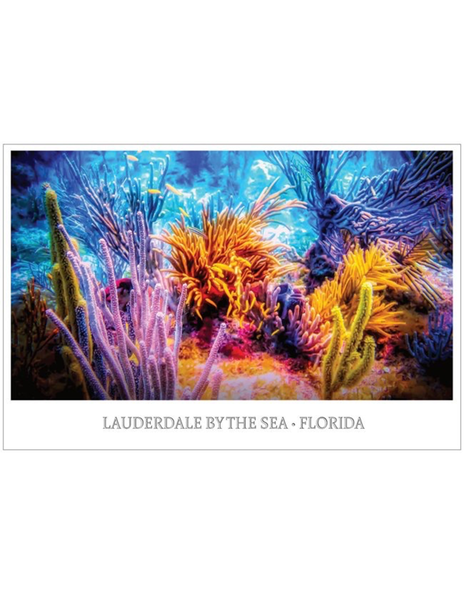 Charles W Gallery Art Poster 24x36 Lauderdale By The Sea