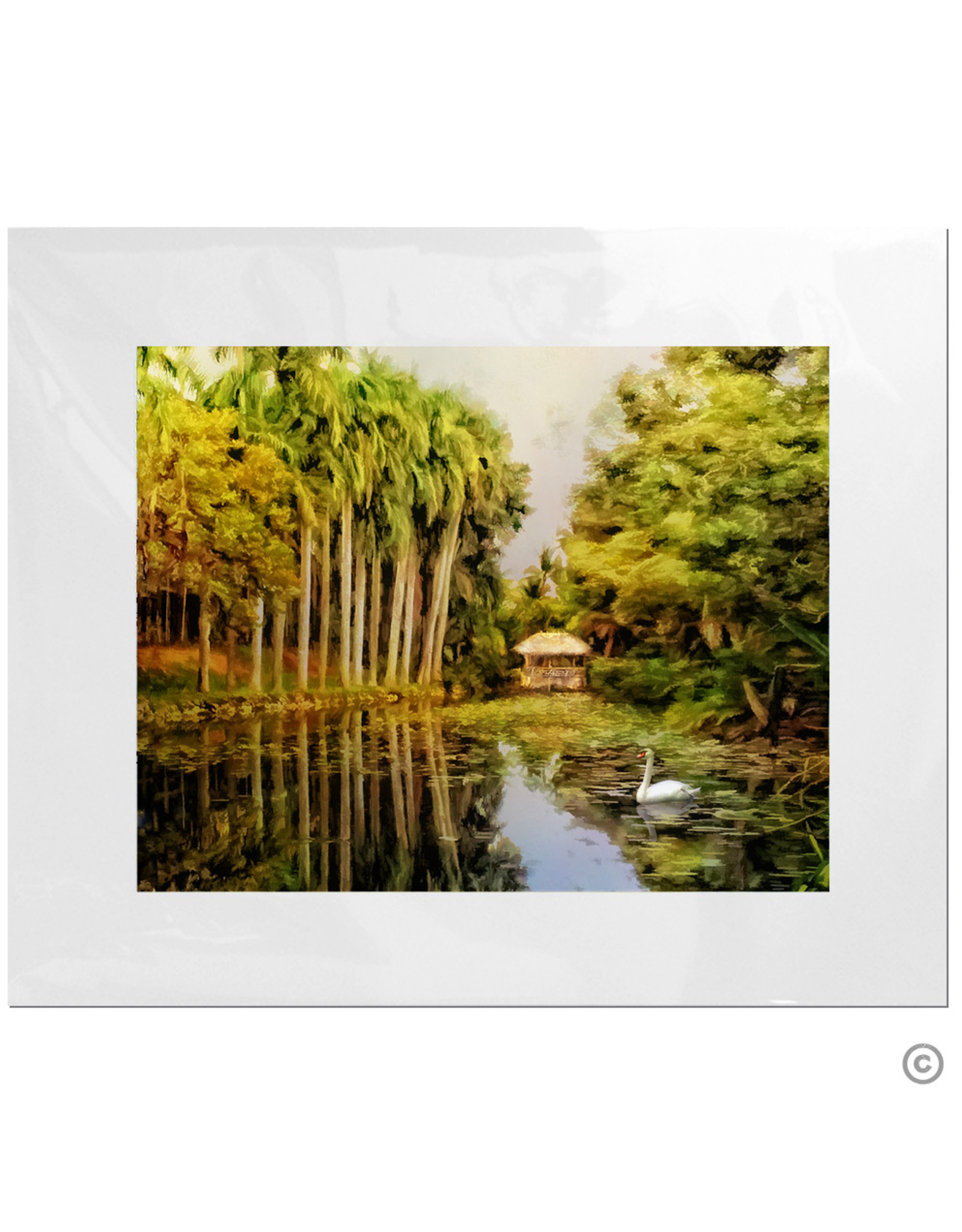 Maureen Terrien Photography Art Print Bonnet House w Swan 11x14 - 8x10 Matted