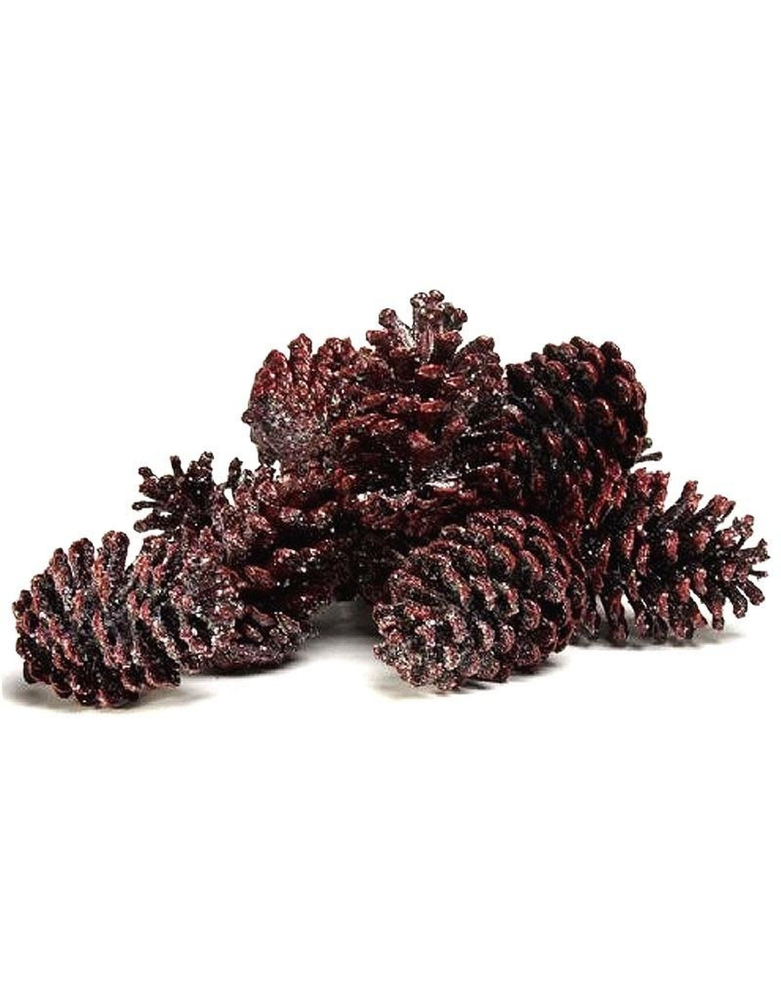 K&K Interiors Pine Cones Decorations 12Pk Brownish-Red W Ice Frost Accents