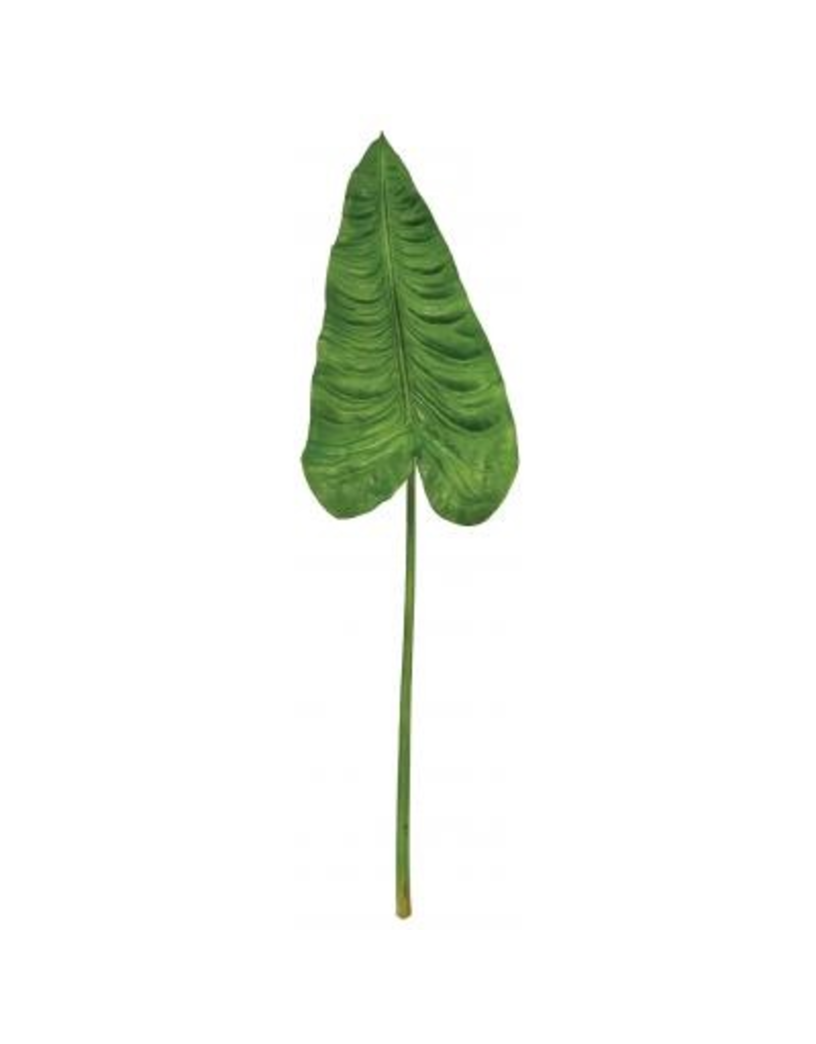 Winward Silk Flowers Artificial 07050.GR Calla Leaf