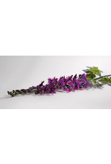 Katherine's Collection Flowers Floral Fantasy Delphinium Purple