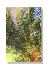 Charles W Gallery Wrapped Canvas Wall Art Print - Palm Abstract Left