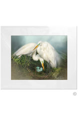 Maureen Terrien Photography Art Print Nesting Egrets 8x10 - 11x14 Matted