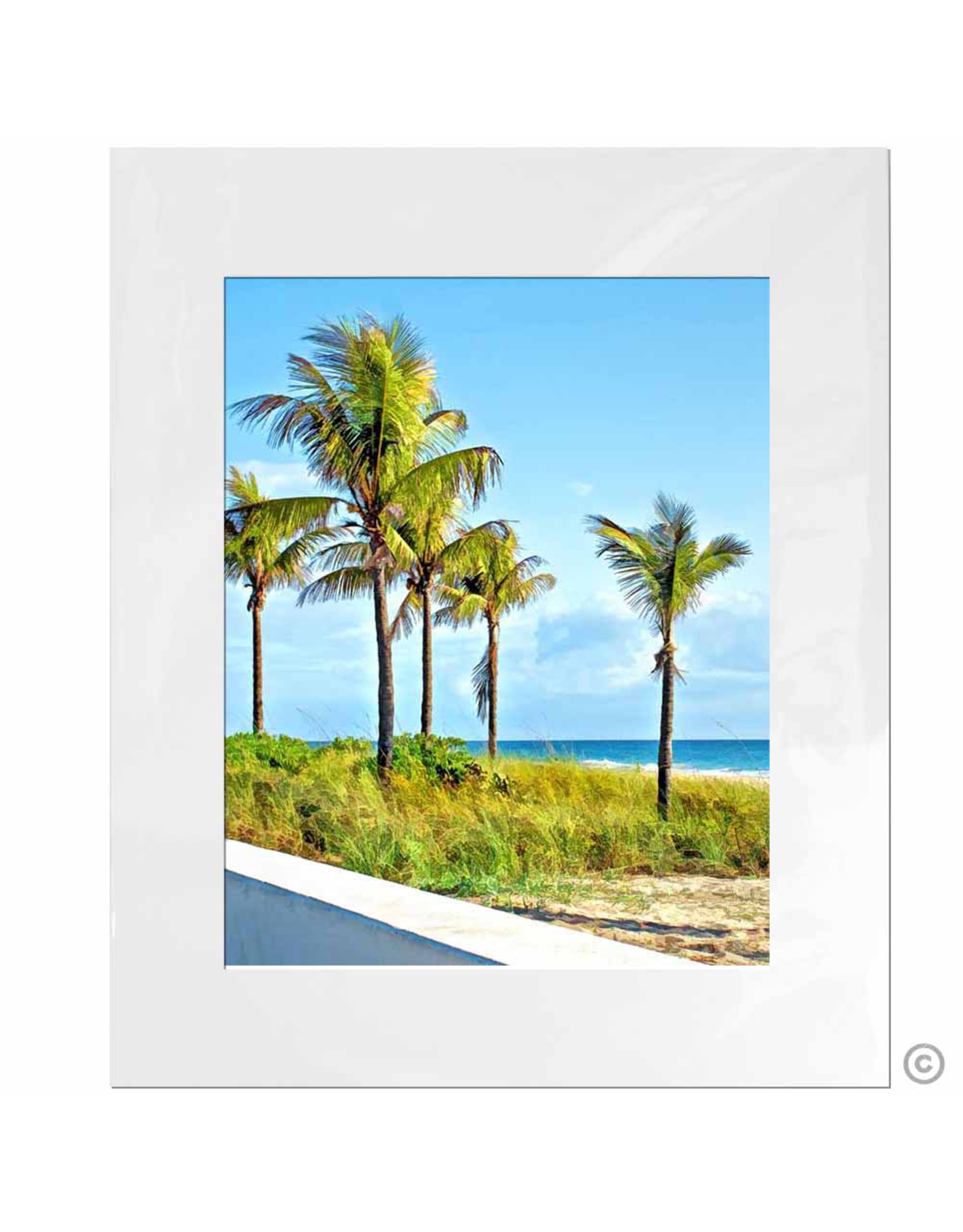 Maureen Terrien Photography Art Print 5 Palms 11x14 - 8x10 Matted