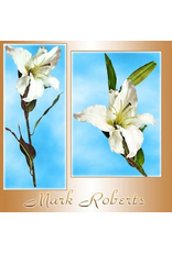 Mark Roberts Home Decor Flowers Floral White Casablanca Lily