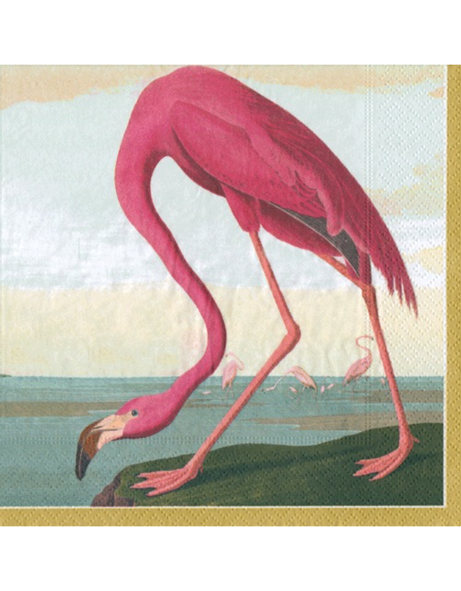 Caspari Paper Cocktail Napkins 20ct Audubon Birds
