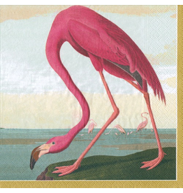 Caspari Paper Cocktail Napkins 20ct Audubon Birds