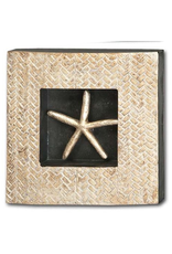 Mercana Starfish In Shodowbox Frame 10x10x2 Wall Art