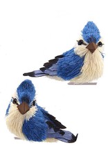 Kurt Adler Blue Jay With Clip Bird Ornaments 2 Assorted