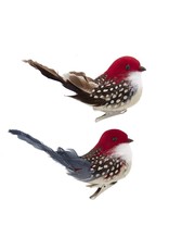Kurt Adler Bird Clip-On Ornaments 2 Assorted