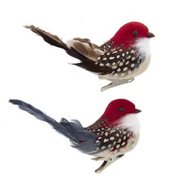 Kurt Adler Bird Clip-On Ornaments 2 Assorted
